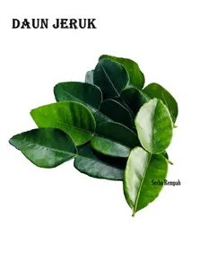 Serba Rempah Daun Jeruk 10gr Bumbu Dapur Fresh Segar Daun Jeruk Purut Pewangi Herbal Aroma Kuat Cocok untuk Rendang Soto Pepes dan Masakan Lainnya