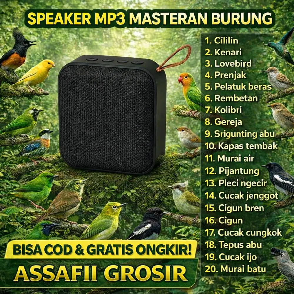 Speaker+memori