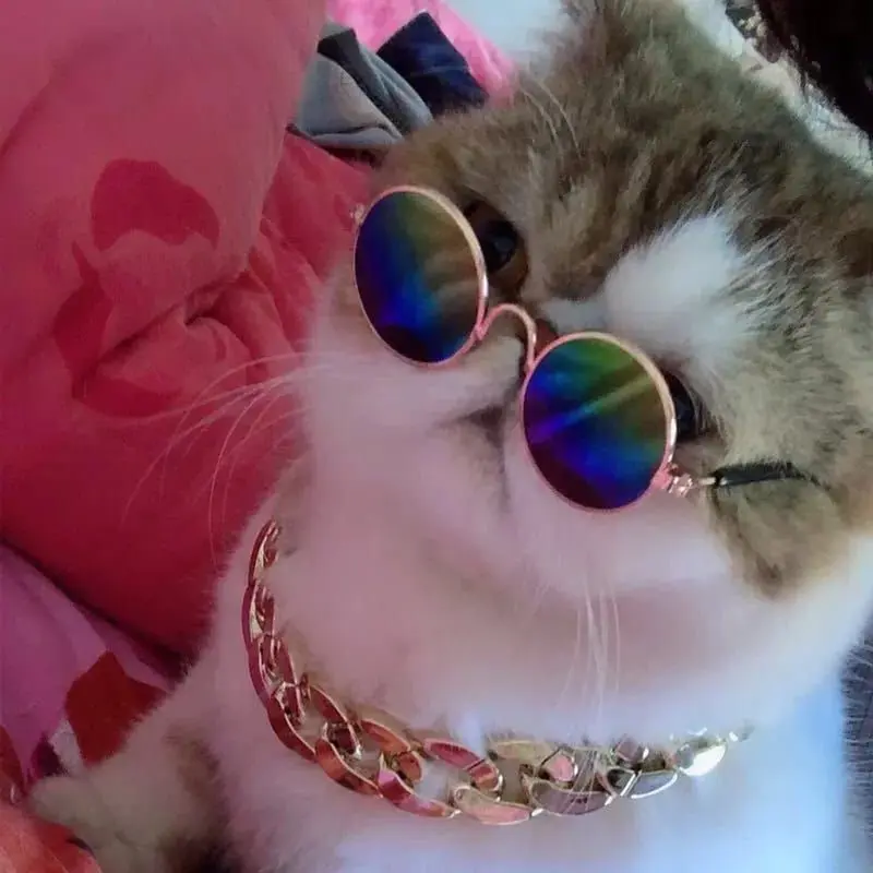KACAMATA KUCING ANJING - Kacamata Gaya Keren Aksesoris Hewan Foto Fashion Kucing Anjing Pet Sunglasses Hewan Peliharaan 4
