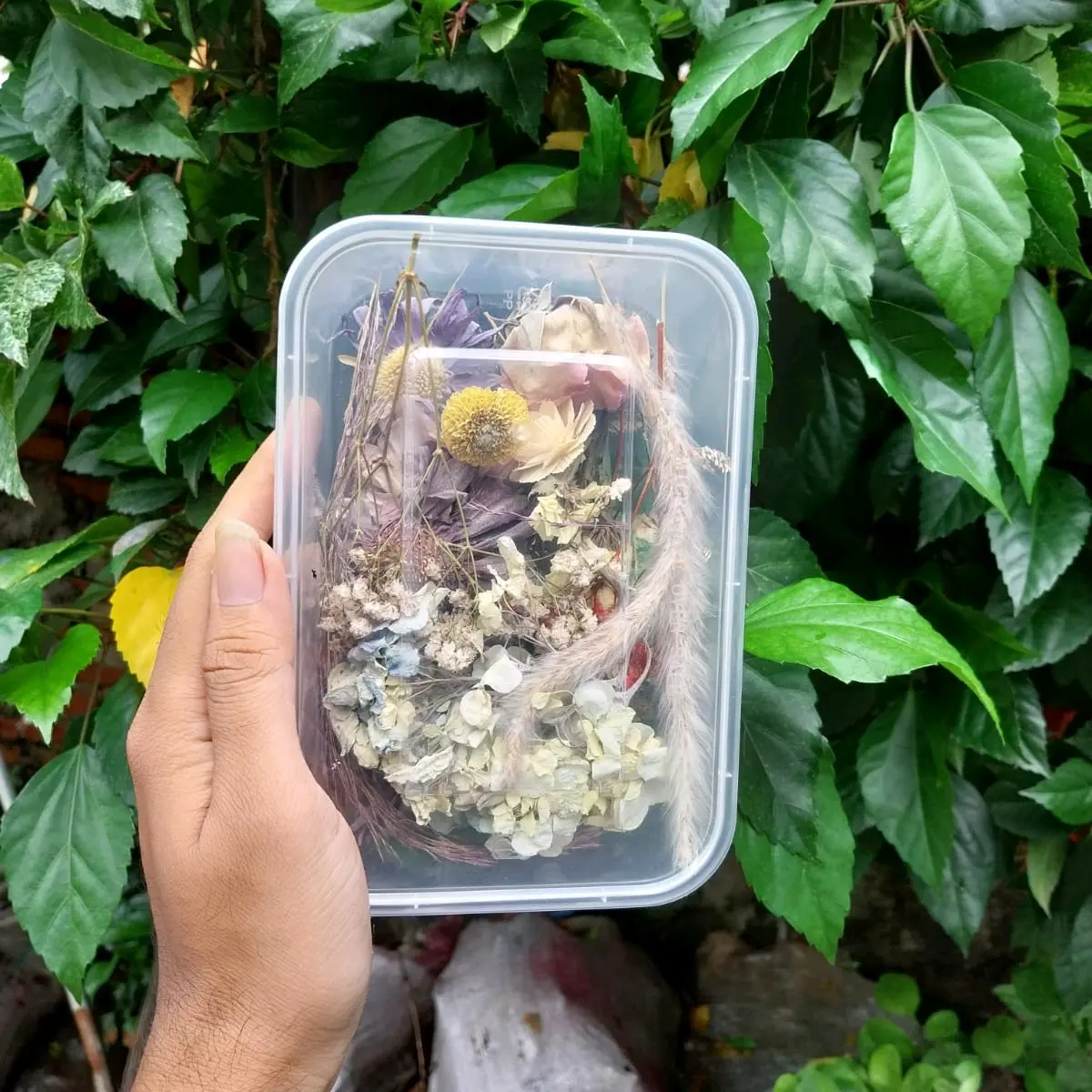 dried flowers/ bunga kering