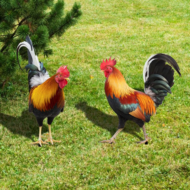 Product Introduction of Courtyard Lawn Backyard Home Decoration Hen Statue Garden Rooster Statue Acrylic Sculpture Outdoor Yard Rooster Decoration 14
