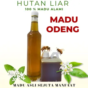 Madu odeng / tawon gong / madu hutan liar / madu asli ciamis