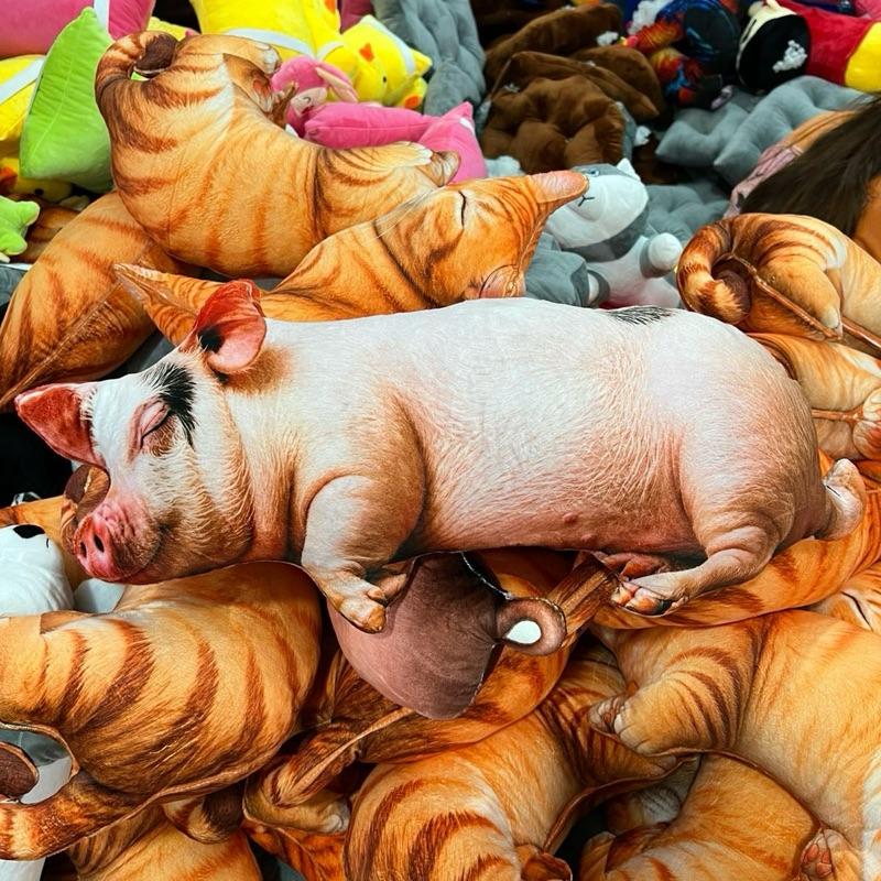 Gấu bông heo mô phỏng in 3D ngỗ nghĩnh đáng yêu vui nhộn