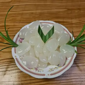 Buah Kolang Kaling Mentah Super Premium Kenyal-Kenyal dan besar-besar Berat 1KG Cocok Sebagai Camilan Lezat Dan Mengenyangkan