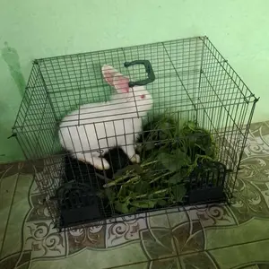 sangkar kucing kelenci burung hamster ayam dll ukuran 43x35x32
