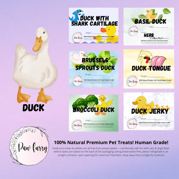 [Pawfurry] Duck Series, Suitable for Dogs and Cats, 60g, All Natural Ingredients
