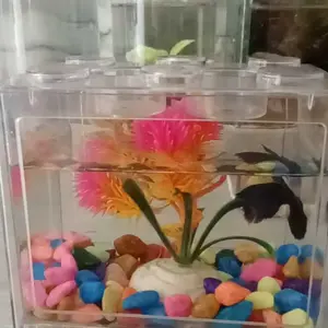 12x8cm Akuarium Ikan Cupang Akrilik Aquarium Mini Acrylic Aquarium Mini Cupang Hias Emas Kura-kura Kotak Kandang Hewan DIY