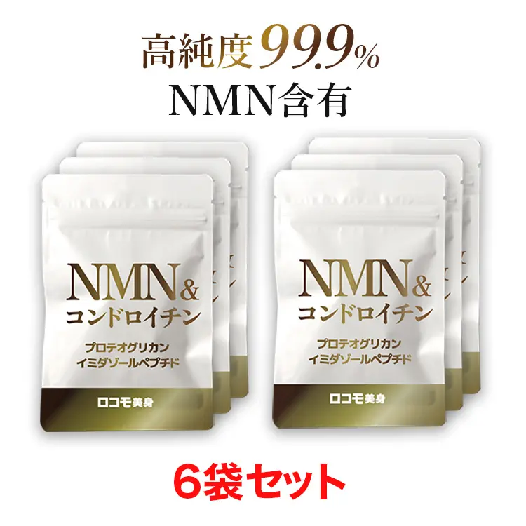 公式ショップ 正規品 1袋 単品 ボディマスター BODYMASTER HMB NMN 公式ショップ 正規品 1袋 単品 ボディマスター BODYMASTER HMB NMN