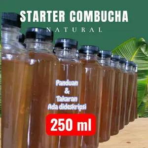 air starter kombucha  250 ml