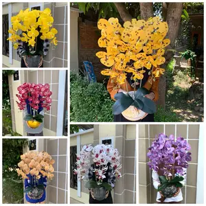 BUNGA Anggrek HIAS Latex Jumbo 3 Cabang Pot Bola Plastik Gold & hitam dekorasi ruangan Vas Indoor Diameter 18 cm Tinggi 70 cm untuk Meja atau Lantai