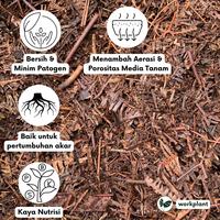 Gambar Workplant - Andam Fermentasi Humus Daun Batang Untuk Media Tanam Tanaman Hias Aglonema Philodendron Monstera Aroid dari workplant official Kota Surabaya 3 Tokopedia