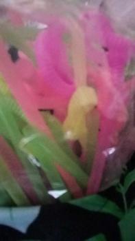 Product Review of Sedotan Fungky / Sedotan Ulir Spiral Warna- warni @50pcs Straw Buah Minuman from 💚**💚 0