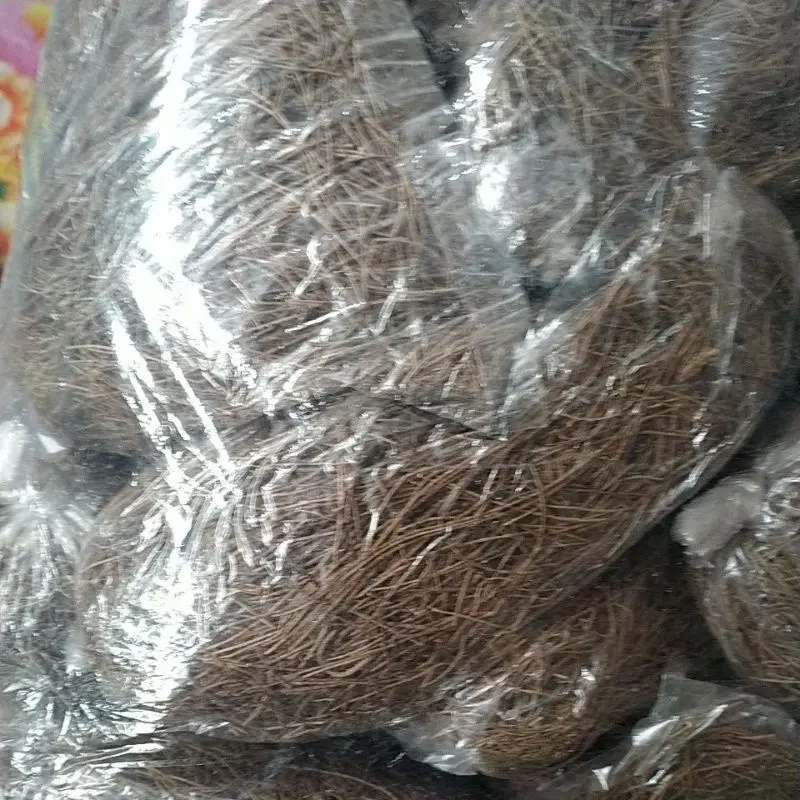 SERAT DAUN CEMARA 1 PAK ISI 10 PCS SUSUH DAUN CEMARA SARANG DAUN PINUS UNTUK ALAS TERNAK BREEDING BURUNG TEMPAT BERTELUR BURUNG MURAI KACER MURAI WAMBI
