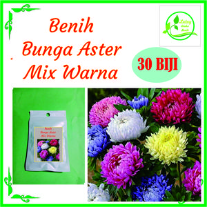 BENIH BUNGA ASTER MIX WARNA ISI 30 BIJI