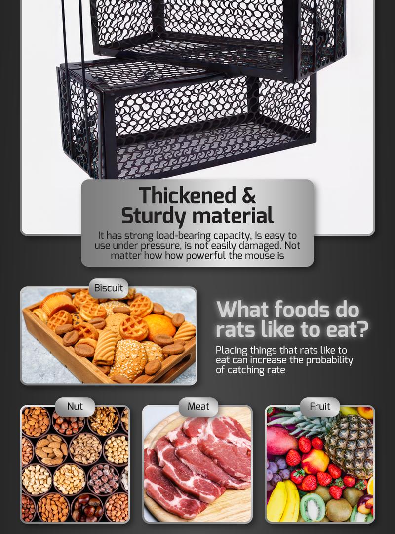 Product Introduction of HOUZE - Mouse and Rat Trap Cage - Big 6