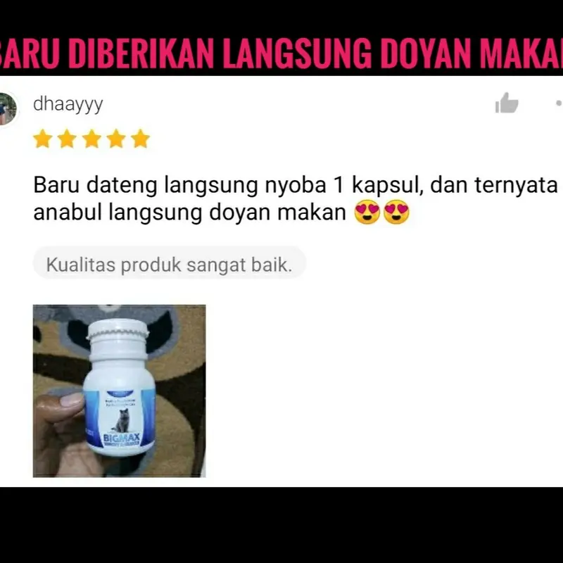 VITAMIN KUCING NAFSU MAKAN PENGGEMUK BULU RONTOK KUCING ANTIBODY KUCING BIAR GEMUK PENAMBAH NAFSU MAKAN KUCING CEGAH RONTOK BULU KUSAM JAMURAN MAX VIT ROYAL CARE BIG CAT BABAH CAT HOUSE CLEVER SOLUTION CUTE CAT perawatan bulu & kulit bisa dikunyah 4