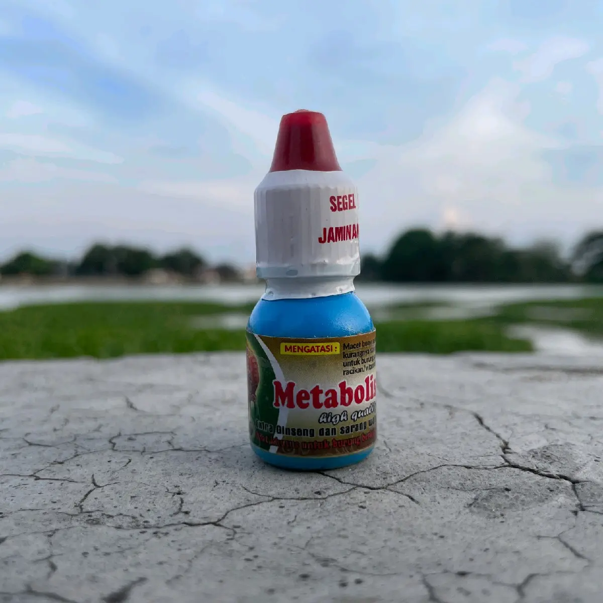 METABOLIS - METABOLISME BURUNG