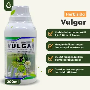 Vulgar 865SL 200ml Herbisida Dimetil Amina Pembasmi Gulma Lahan Padi