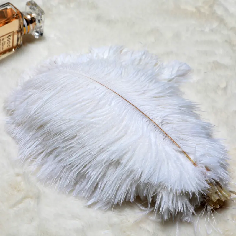 natural ostrich feather 10-25cm