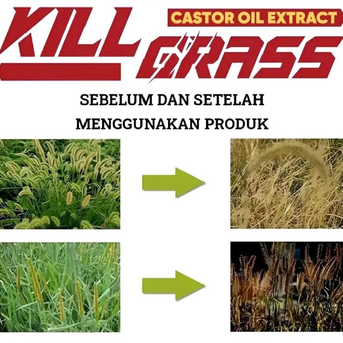 Beli 3 gratis 1 Kill Grass Herbicides organic bunuh gulma tanpa merusak tanamannya 1
