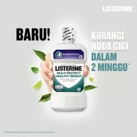 Gambar Listerine Multi Protect Healthy Bright 250 mL - Kurangi Noda Pada Gigi dari Apotekmandjurofficial Kota Administrasi Jakarta Pusat 3 Tokopedia