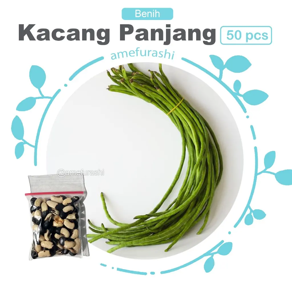 Kacang Panjang 50 Biji