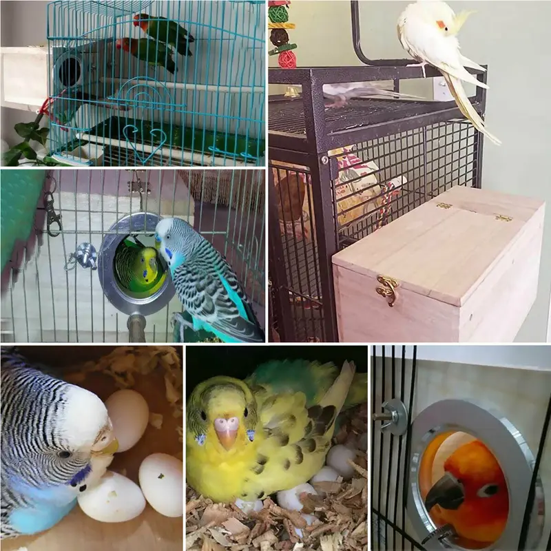 Đồ Đồ Trang Trí Sân Vườn Nhà Gỗ Sơn Tại Chỗ Hổ Hoa Mẫu Đơn Xuanfeng Vẹt Nuôi Hộp Hộp Ấm Lồng Động Vật Tổ Động Vật Ngoài Trời Nhà Gỗ Để Sơn Cho Động Vật Nhỏ 8