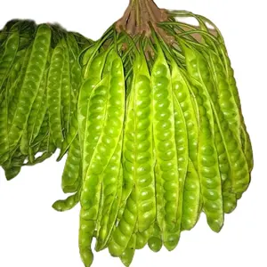 PETE MUDA ISI 10PCS/ PETE SEGAR PILIHAN/ PROMO PETE MURAH/ PETE WONOGIRI/ SAYURAN SEGAR/ Kecombrang