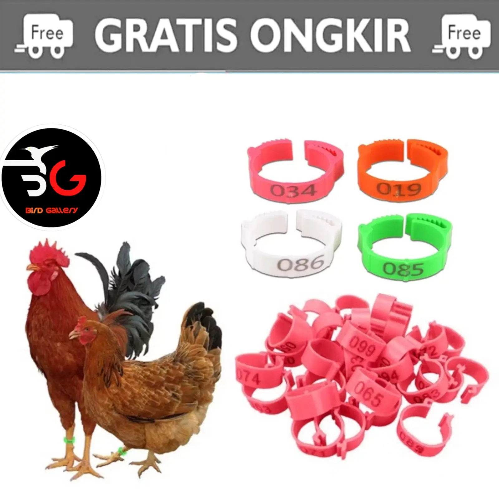 CINCIN KAKI AYAM ADA NOMER SERI CINCIN DIAMETER 2,6 CM
