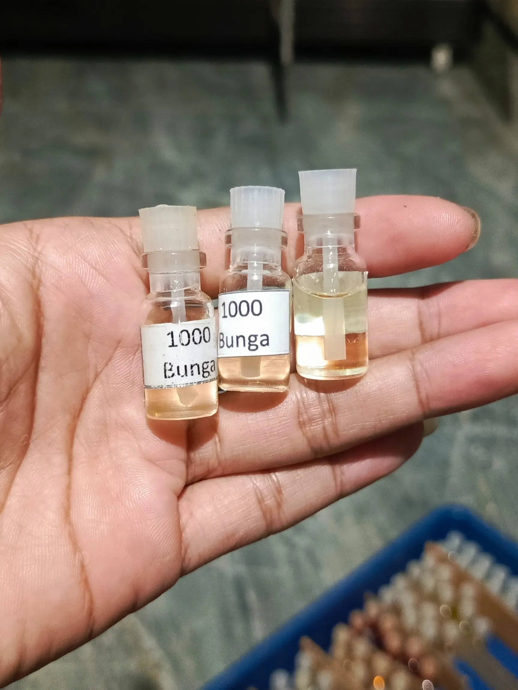 Minyak Atau Parfum 1000 Bunga Bibit Murni Non Alcohol