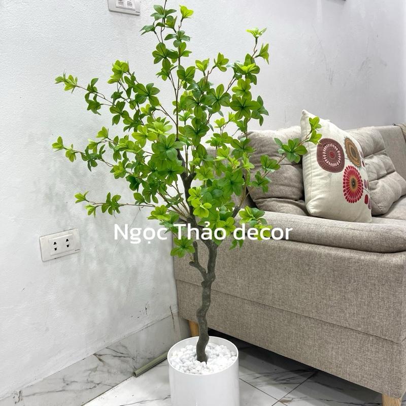 Cây oliu mảnh 1m2, cây oliu giả, cây giả trang trí, cây giả decor