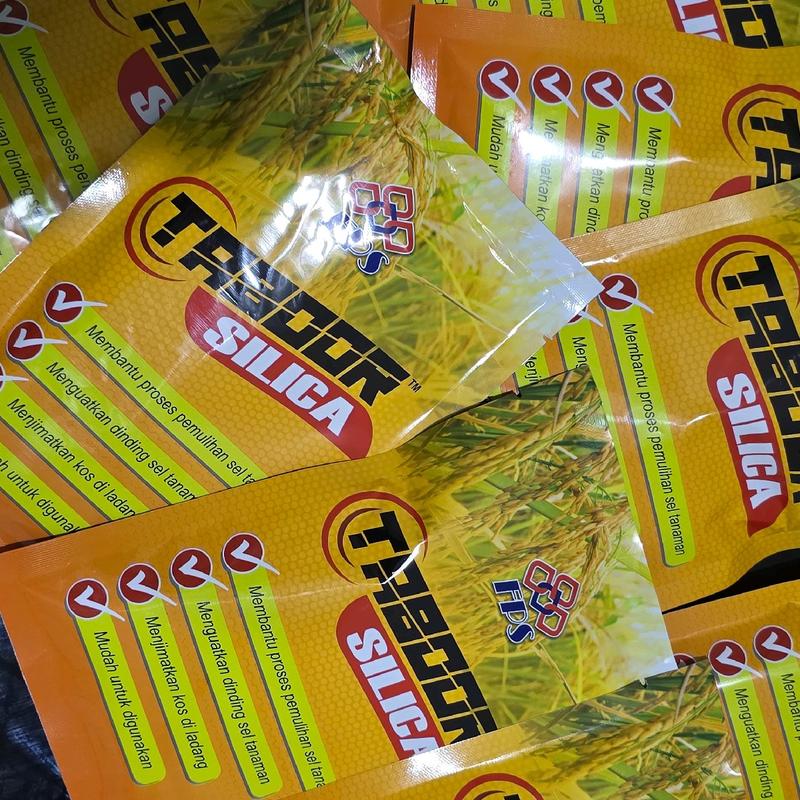 TABOOR SILICA + Pure Silika 50gm + Tanaman Padi + Foliar Fertilizer ...