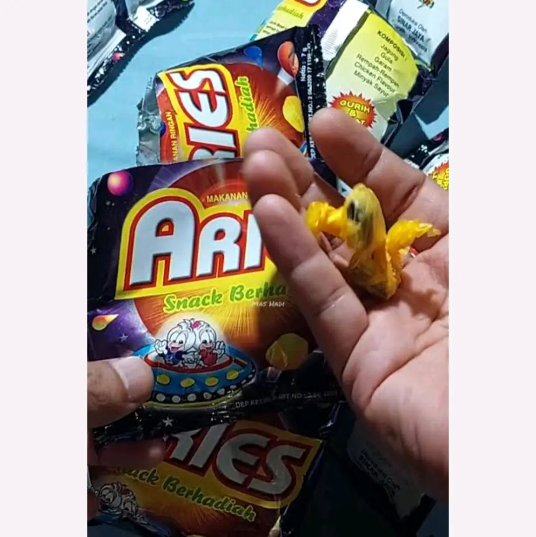 1 karton ciki hadiah aries isi 40 pcs