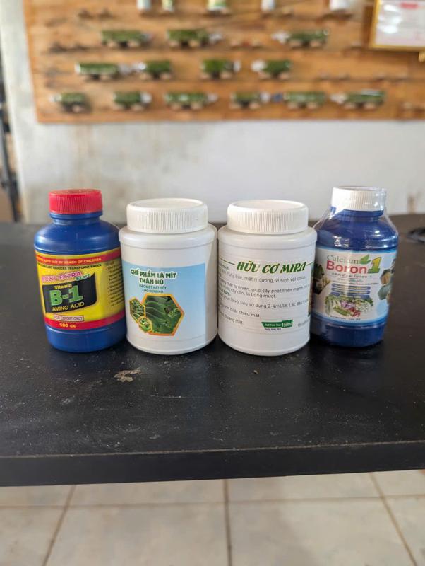  Star Thái Lan Combo 3 BẬT MẦM PHÂN BÓN DÀNH CHO HOA LAN PHÁT TRIỂN MẦM GỐC KÍCH MẦM CHO CÂY VITAMIN B1,PHÂN LÁ & MIRA Hữu Cơ 