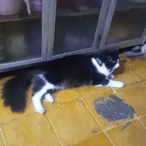2pcs tatakan kaki 4 kompor rinnai, dudukan kompor gas rinnai