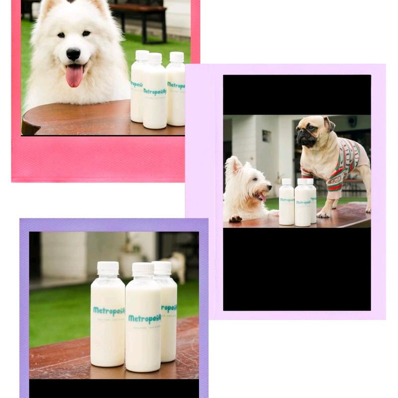 Susu doggy/goat milk 1