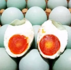 TELUR ASIN ASLI BREBES RASA ORIGINAL