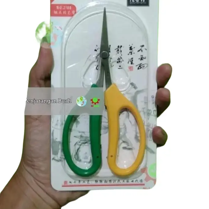 Gunting penjarangan buah anggur dan bonsai 0