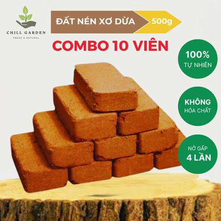  COMBO 10 Viên Xơ Dừa Đất Trồng Cây ươm hạt giống trồng cây trồng rau Nở gấp 8 lần-ChillGarden 