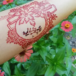 NEHA Body Paint Cone White , Maroon , Black Hena Fas Colour Henna CHARRY, DARK BROWN, Mirchi , Red