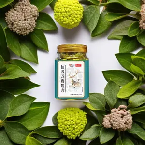 [Halal · COD] YaoWenFang Deer Series Gentle Sterilizer | Sepuluh bola detoks untuk pemurnian mendalam, membuat hidup lebih baik. (Catatan: Pengiriman ke pulau terpencil mungkin membutuhkan waktu lebih lama)