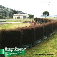 Gambar Easy Grow Hedge Bag Hijau Size M dari Easy Grow_NEW Kab. Gunungkidul 2 Tokopedia