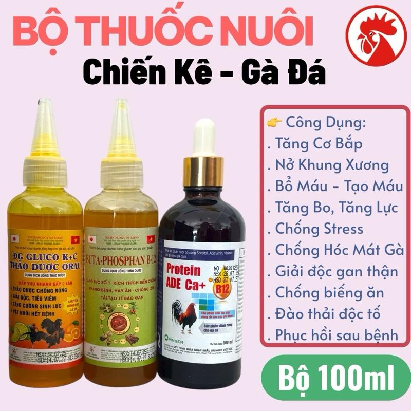 Bộ 3 chai 100ml thuốc nuôi uống Gà Đá Gluco KC + Buta Phosphan B12 + Protein ADE Ca+ tăng cơ giải đọc gan mát chống stress tăng đề kháng bổ máu sung hừng gà