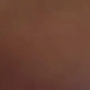 Alat Penyetel Jam Tangan (Cocok untuk jam tangan berbahan alloy)Ikuti (follow) toko kami, beli jam tangan gratis hadiah