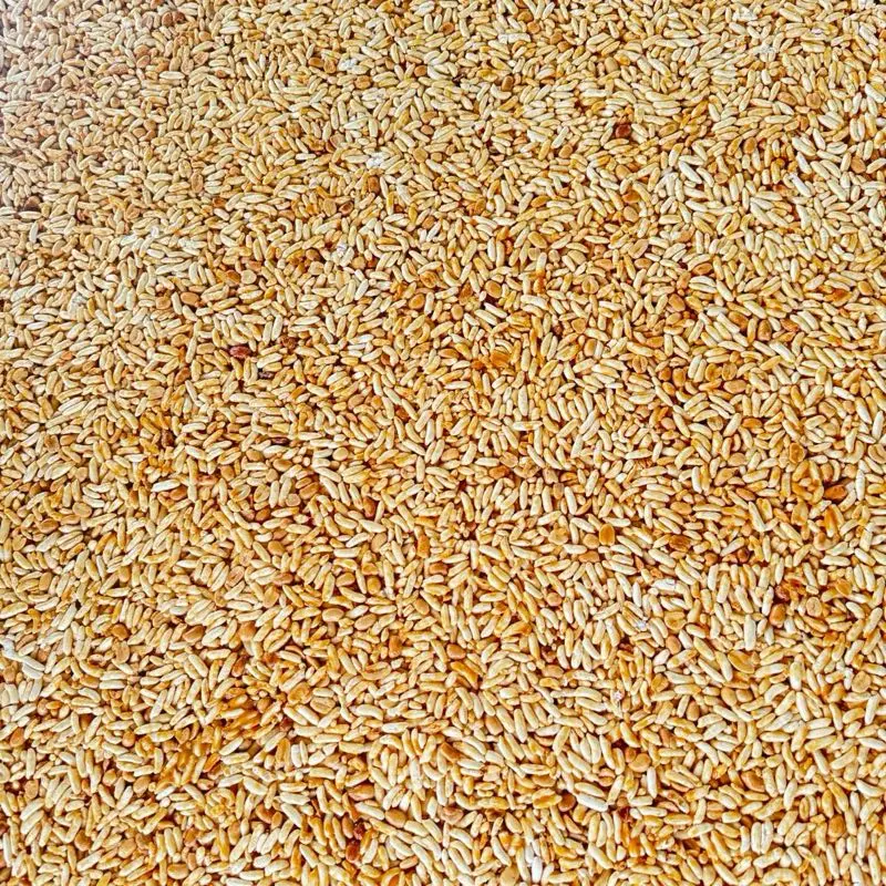 1KG CỐM GẠO NGÀO “KHÔNG ĐẬU PHỘNG” NƯỚC CỐT DỪA 0