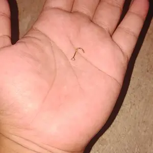 1 PC 18G/20G Stainless Steel Nostril Piercing 1.5/2/2.5/3mm Crystal Nose Piercings L Shape Nose Stud Cubic Zircon Nose Stud