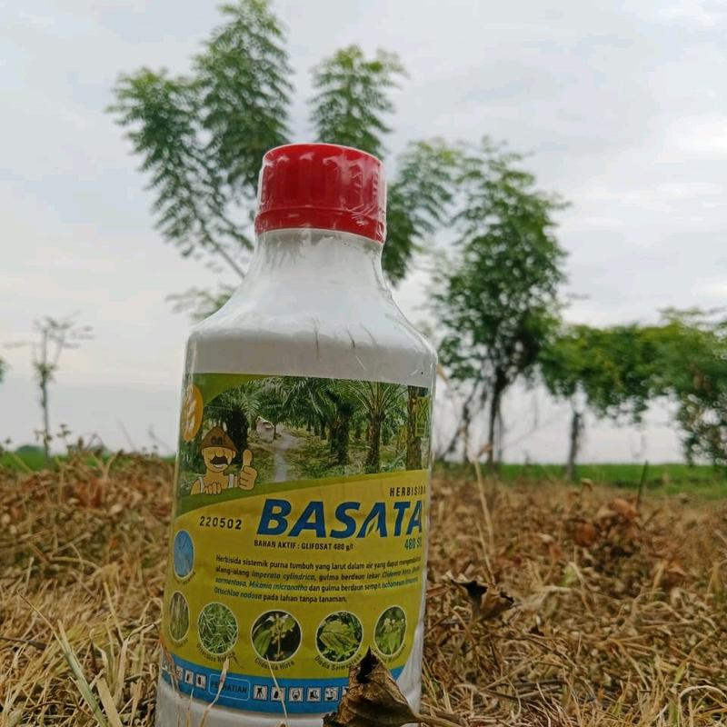 BASATA HERBISIDA 480SL.DAUN,BATANG,AKAR RUMPUT KERING. 2