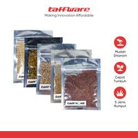 Gambar TaffHOME Bibit Rumput Air Dekorasi Aquarium Landscape Ornament 10g - H0027 - Big Fescue dari Taffware Official Store Kota Administrasi Jakarta Barat 1 Tokopedia