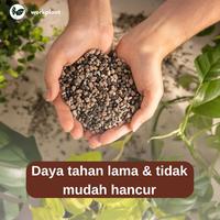 Gambar Lechuza Pon - Soil Free Media Tanam Super Porous Tanaman Hias dari workplant official Kota Surabaya 3 Tokopedia