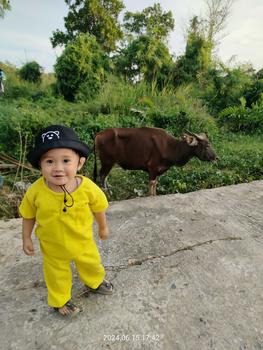 Product Review of TOPI ANAK BAYI 1 SAMPE 3 TAHUN TOPI BUCKET ANAK BERKUALITAS MOTIF BERUANG TERBARU Hitam Denim from S**5 1